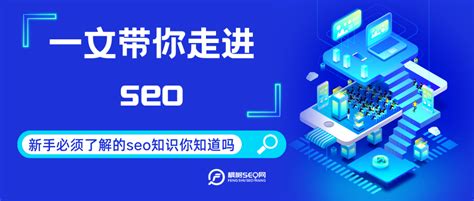 新手SEO实战优化全解析