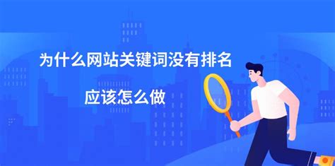 SEO新手优化入门实战指南