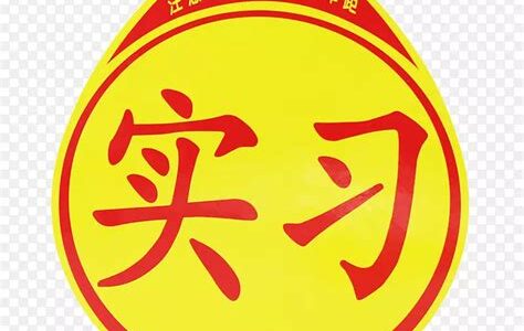 新手SEO技巧分享：有效提升网站流量的实用方法解析