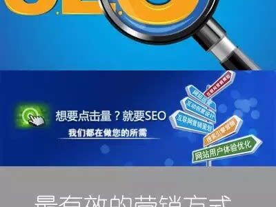 新手必备的SEO实战技巧与成功案例解析