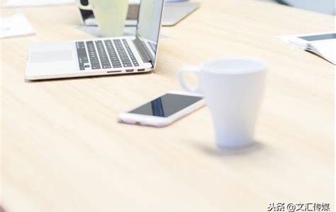 小白必备的SEO技巧与网站优化路径详解