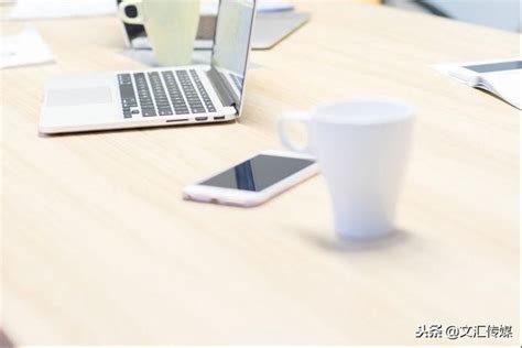 小白必备的SEO技巧与网站优化路径详解