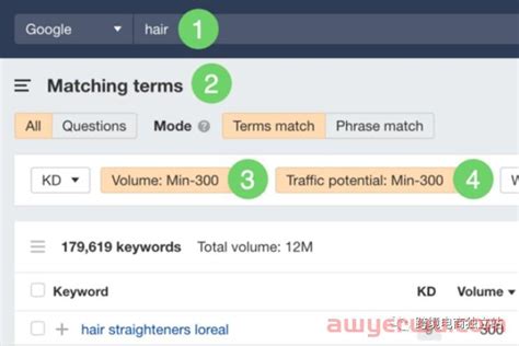 长尾关键词应用助力SEO提升：关键优化技巧解析