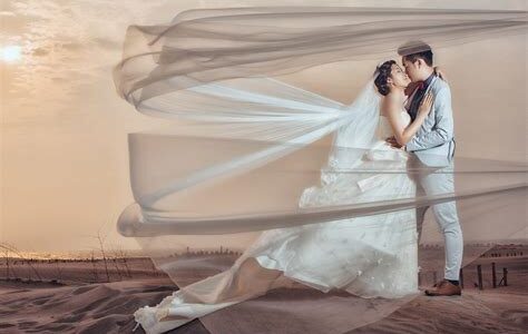 新人掌握SEO优化的全面攻略与实战技巧