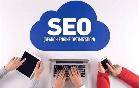 新手指南：从基础到实战的SEO优化路径